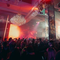 Chris Carrera B2B Gullfisken