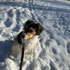 isaiah rashad freestyle prod bullseye