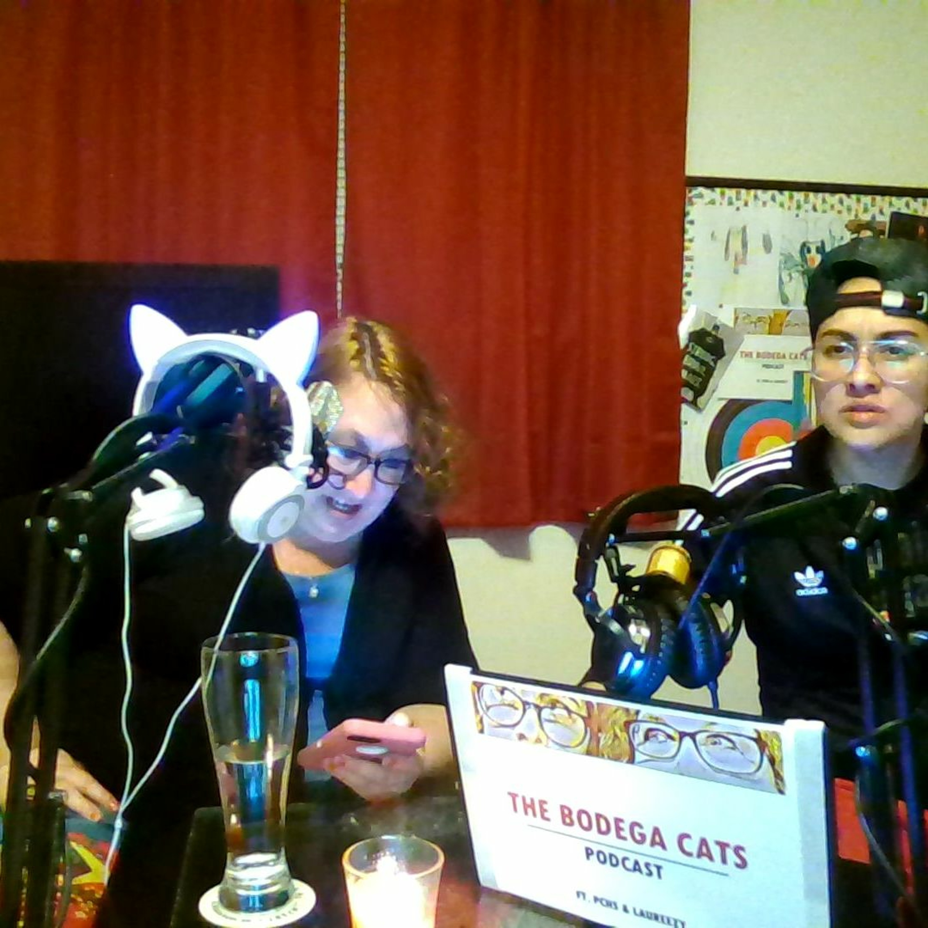 The Bodega Cats Podcast
