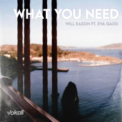 What You Need (Ft. Eva Gadd)