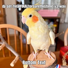 dj-set-finalFINALforsurethistimev3.wav