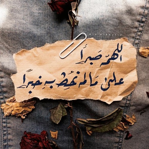 " و لنصبرن على ما آذيتمونا "...  القارئ ياسر ممدوح
