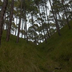 Axis of symmetry Extended