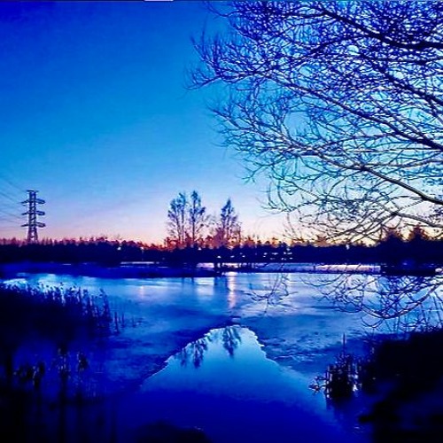 Midwinter