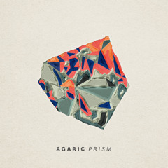 PREMIERE: Agaric - Qualia [We Are]