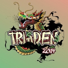 Triaden 2014 - Tungevaag