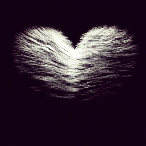 One Heart