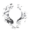 Untitled #2 (Fyrsta)