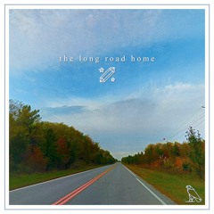 the long road home