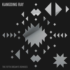 B1 - Reptilian Waves (Kangding Ray Remix)