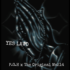 YESLAWD Ms.214 x P.G.H