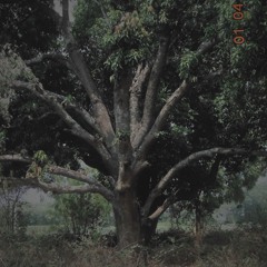 Hindustani Classical/hybridity