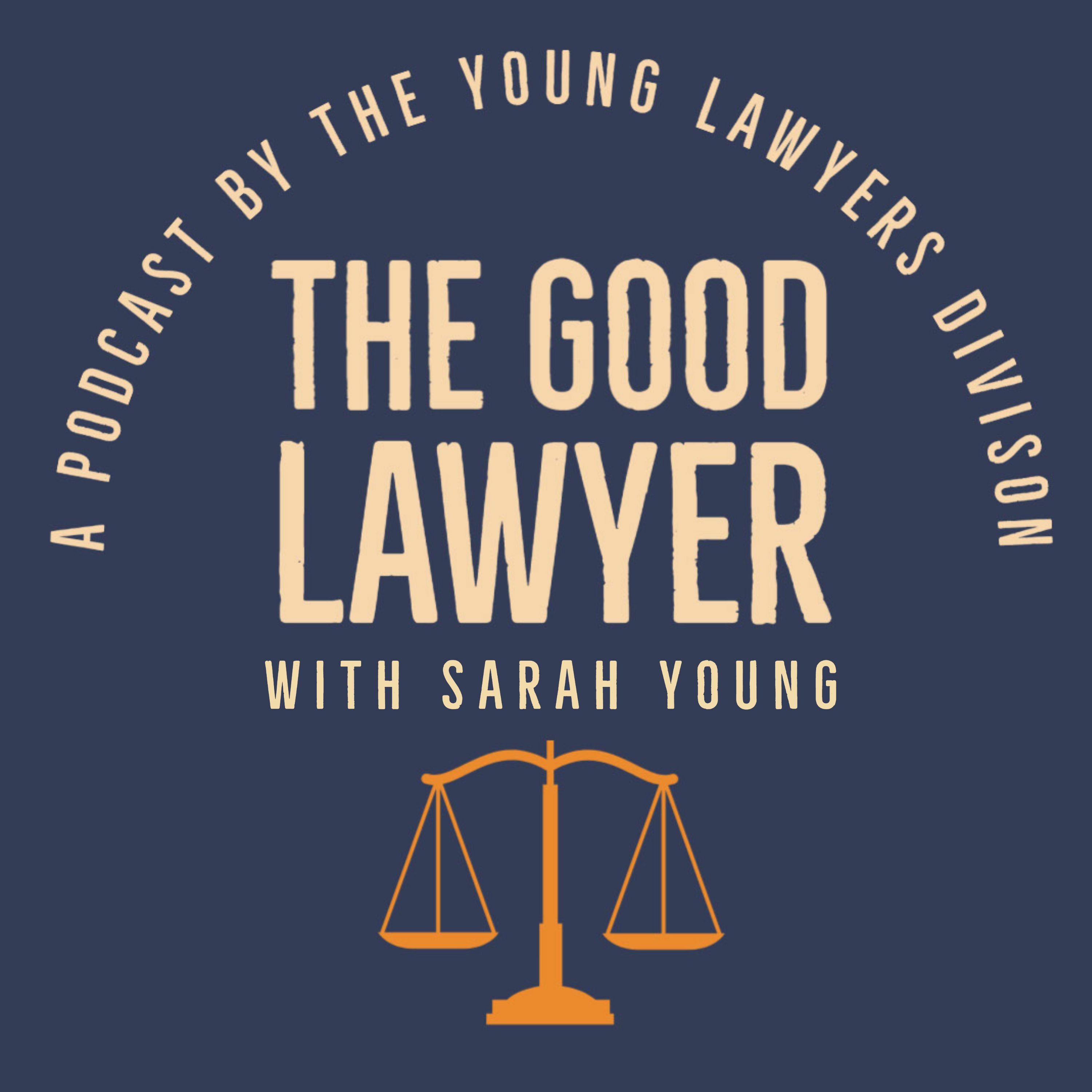 The Good Lawyer