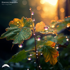 Emerson Augustine - Morning Dew