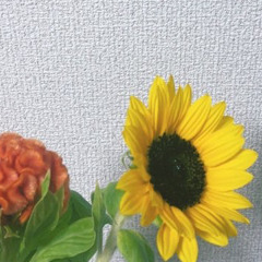 原民喜『夏の花』青空文庫より