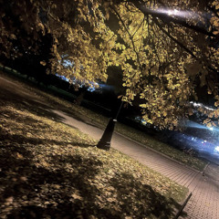 лесновский подшар