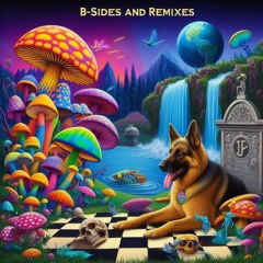 B sides and Remixes