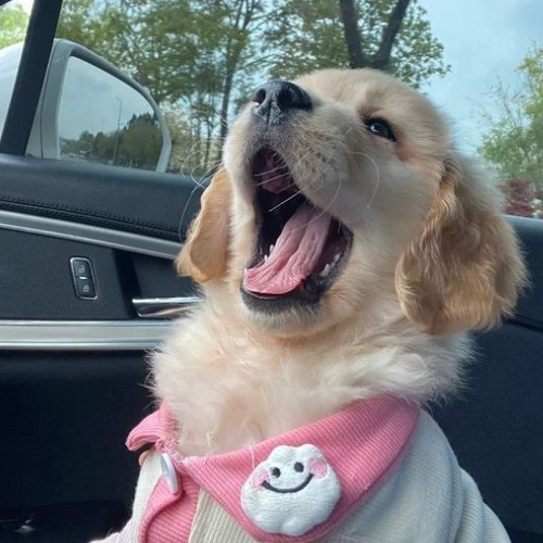 She is totally out of my League (Original By P6ICK&Z9)