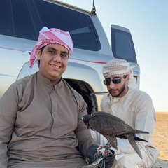 ‎⁨شاهين أردوغان  ⁩