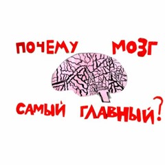 сказка Почему Мозг Самый Главный? | Папа и Герман