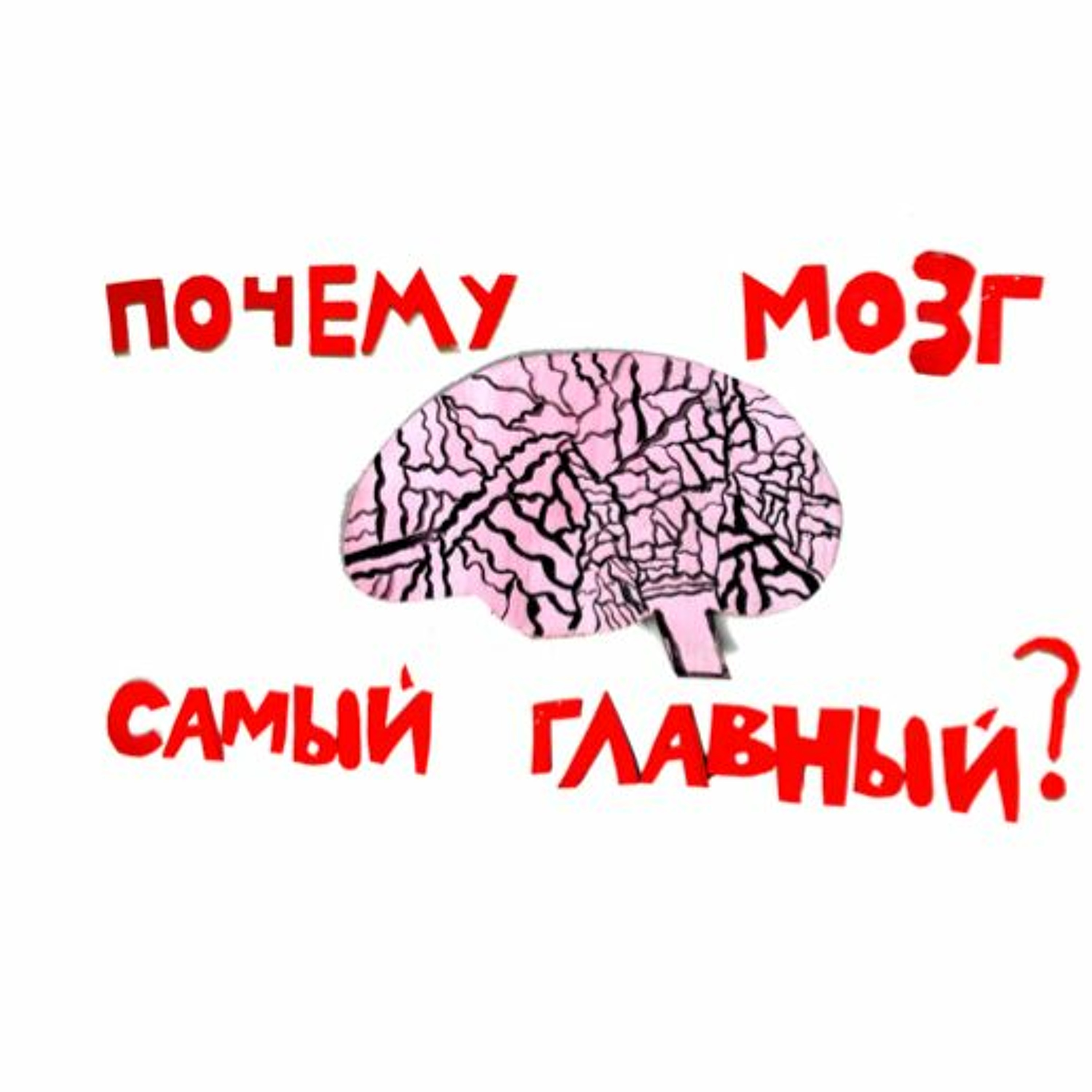 сказка Почему Мозг Самый Главный? | Папа и Герман