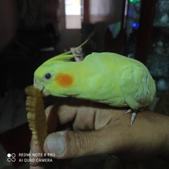 خدني+بين+ايديك.mp3