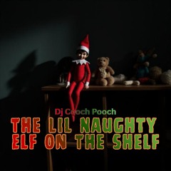 The Lil’ Naughty Elf on the Shelf