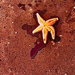 AltForm (prod. Rambeedoe & Jokah)