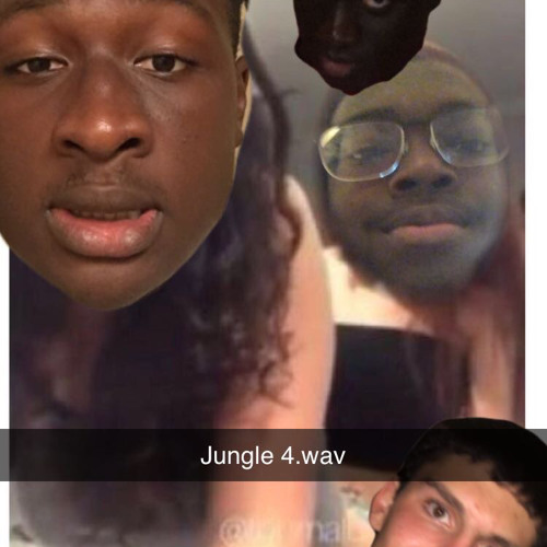 Jungle 4