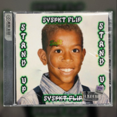 LUDACRIS - STAND UP (SVSPKT FLIP) [Free DL]