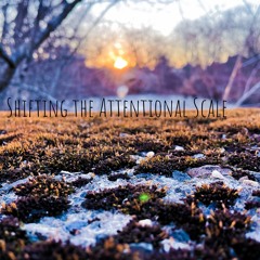 Everything In Between