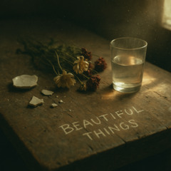 Beautiful Things (cover)