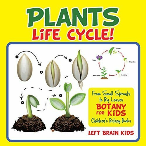 Read PDF 💔 A Plant's Life Cycle! From Small Sprouts to Big Leaves - Botany for Kids