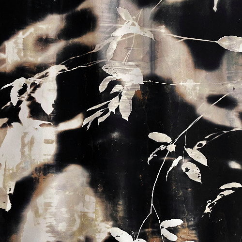 i watch you as you go