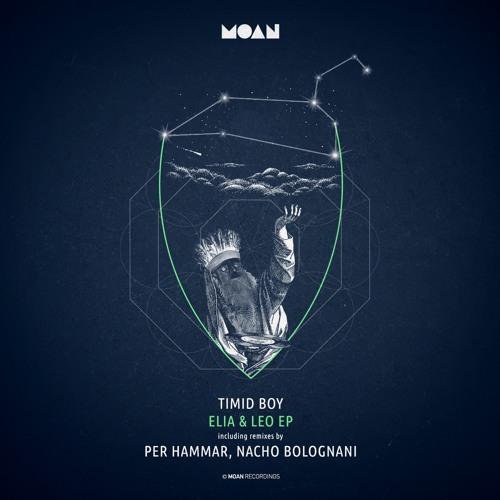 Timid Boy - Leo (Per Hammar Dubb Remix)