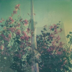 Warning Sign (Coldplay cover)