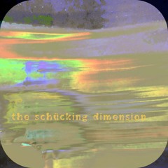 the schücking dimension