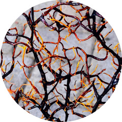 False Pulsating [free download]