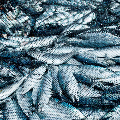 Third Sunday of Easter