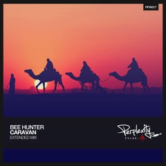 Bee Hunter - Caravan (Extended Mix)