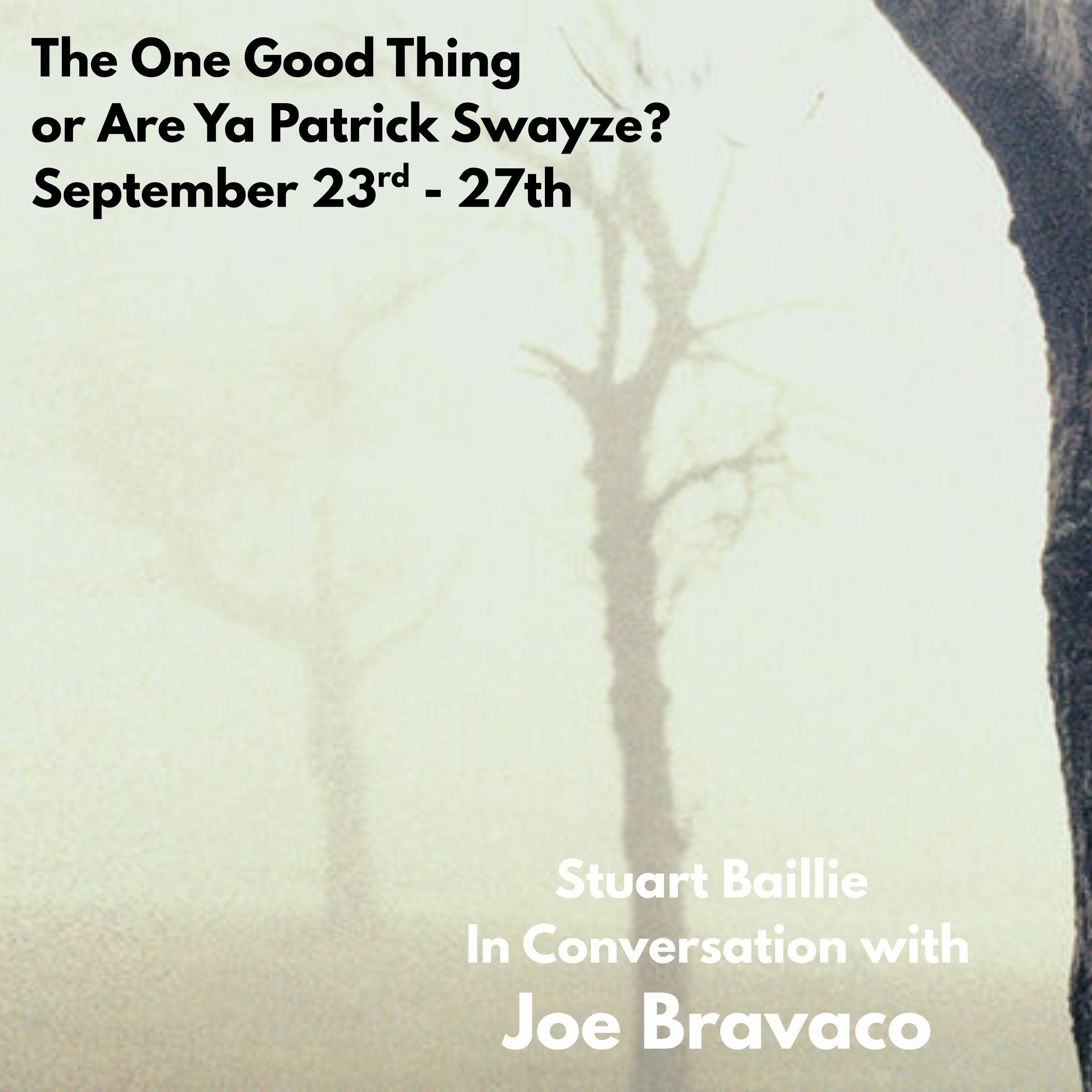 The One Good Thing or Are Ya Patrick Swayze, in conversation with writer Joe Bravaco episode artwork