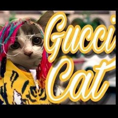 Gucci Cat