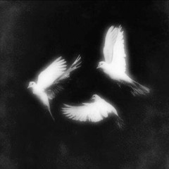 Prod. Saint's Reign [2023 - 2024]