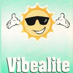 Vinylgroover Mc Natz - Vibealite Half Price Discount Night 24-02-1995