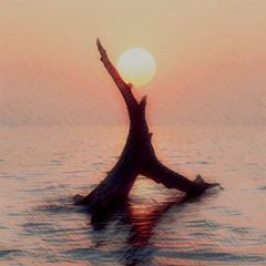 Lifeline