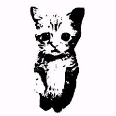 I don’t even like this coffee (demo)