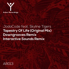 Tapestry of Life - feat. Skyline Tigers (Downgrooves Remix)