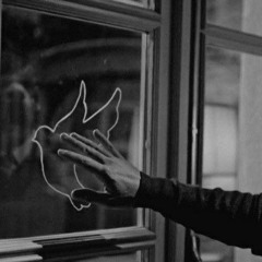 ~Masumlar Apartmanı~