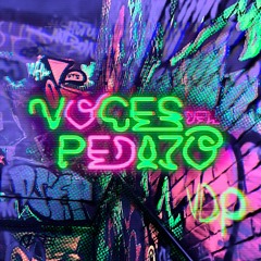 Intro | Voces Del Pedazo - Podcast