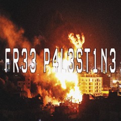 FR33 P4L3ST1N3